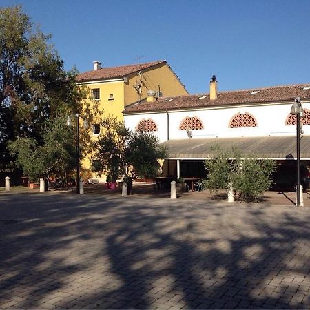 Agriturismo La Rasdora Porto Mantovano Eksteriør billede